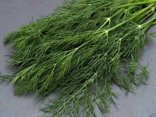 ハーブ　ディル