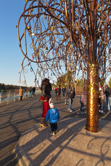 Angarsk, Irkutsk region. People walk along the new city embankment of the Kitoy River and take pictures at the decorative Wedding Tree with  locks
