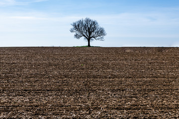 Great British countryside