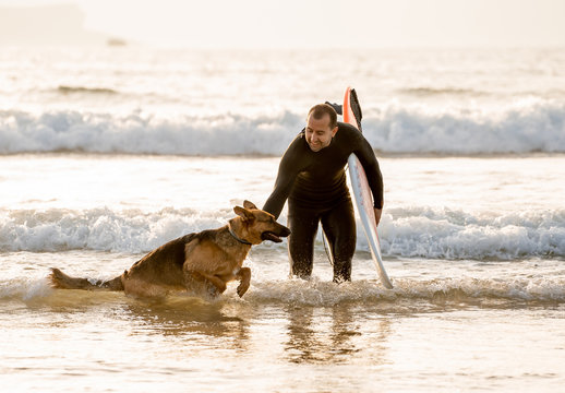 Surfer having fun with best friend german shepherd running and playing on dog-friendly beach at sunset. Back to surf Life with dog after easing coronavirus restrictions and lockdown