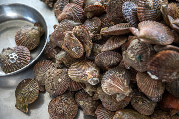fresh seashells at a market in Vietnam