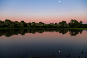 sunset in the natural park Eijser Beemden alongside the river Meuse. Wild breed Konik horses and galloway cows are part of a natural ecology system in this area