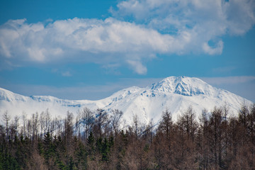 Fototapeta na wymiar 雪山のある風景