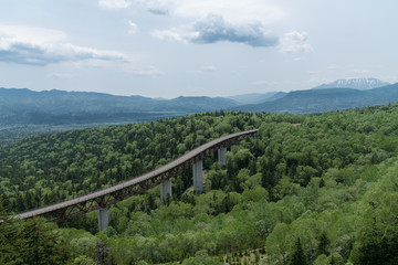 北海道三国峠でみる緑の景色