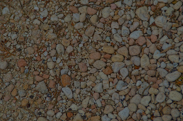 Texture sassi