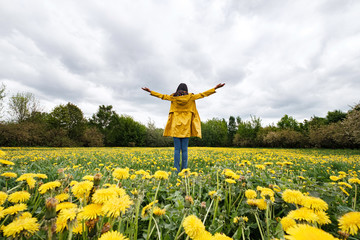 Portrait of a beautiful woman on a field of flowering dandelions.