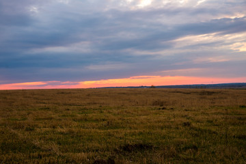 Fototapeta premium orange sunset over the field. Nature of spring.