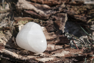 White quartz tumbled gem stone crystal on rustic bark