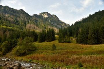 Polish Mountain green valley landscape