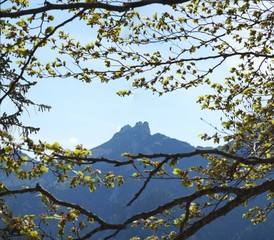 Kampenwandblick auf Wanderung zum Laubenstein