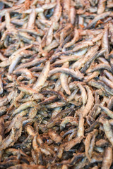 Fresh seafood anchovies sardines mix cooking