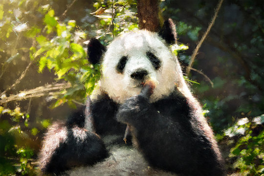 Oil painting of giant panda bear eating bamboo