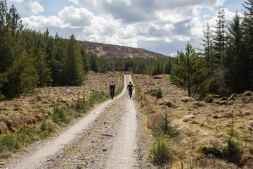 Fototapeta na wymiar Cycling through a forest in the highlands