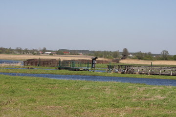 river on Narwiański Park Narodowy