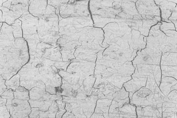 Brown arid texture of the earth with deep cracks as a sign of one of the environmental disasters - global warming