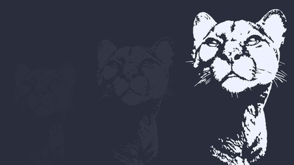 Panther walking from dark. vector Logo design © Goshashka