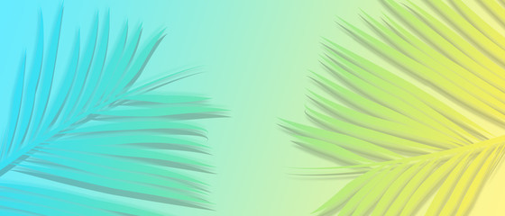 Seasonal summer background texture design with palm leaves. Tropical theme concept.