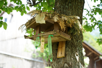 Bird house in the summer abandoned by birds and without food