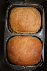 Homemade bread is baked in a bread maker