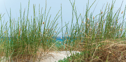 Düne am Meer - Panorama