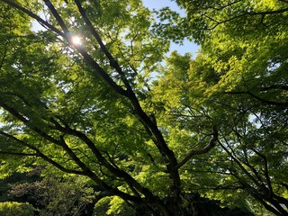 公園