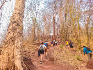 Naklejka premium Unacquainted people Trekking to the top of the Phu Kradueng mountain national park in Loei City Thailand.Phu Kradueng mountain national park the famous Travel destination of Thailand