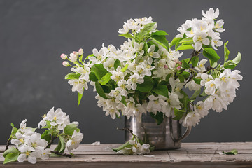 White flowers. Spring bouquet of branches of a blossoming apple tree. Gray background, studio shot.