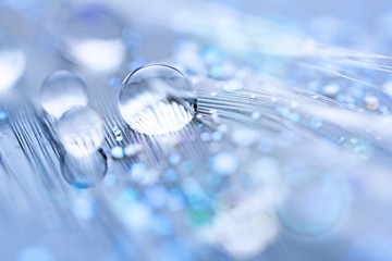 Beautiful water drops on the feather. Macro. Beautiful soft light blue and violet background. Selective focus. Background with copy space.
