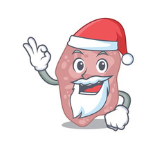 Verrucomicrobia Santa cartoon character with cute ok finger