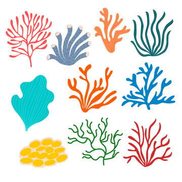 Set of sea corals on a white background in vector graphics. For the design of wallpapers, notebook covers, prints for textiles, wrapping paper, packages