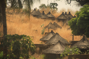tradycyjne afrykańskie okrągłe chaty pokryte słomą wśród suchych traw - obrazy, fototapety, plakaty