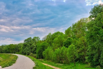 The path within a green landscape with trees under a blue sky