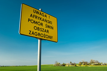 Yellow traffic sign, warning! African swine fever affected area, inscription in Polish