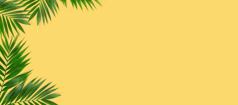 Green plants summer concept template for your text or design on yellow paper background.