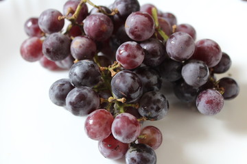 Close up of grapes on a isolated background.