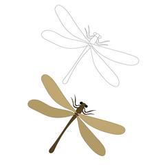 white background, dragonfly, insect, coloring book