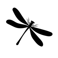 vector, white background, black silhouette dragonfly, insect