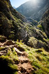 trail through the mountain in picos de europa