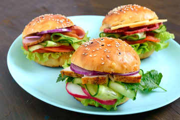 Different burgers on the plate. Homemade bun with ham or meat or salami, vegetables, herbs. Sandwiches for lunch.