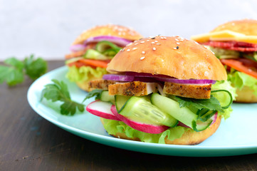 Different burgers on the plate. Homemade bun with ham or meat or salami, vegetables, herbs. Sandwiches for lunch.