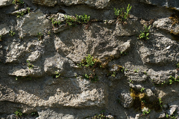 Artfully built walls with natural stone