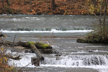 NIagara falls in autumn