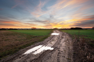 Puddles on a dirt road through fields and colorful clouds on evening sky