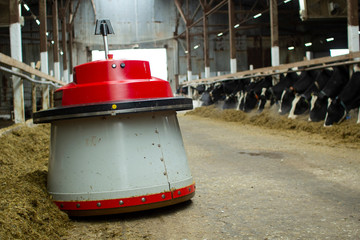 The robot farmers are programmed to work in the farm premises for animal feeding. Automation in agriculture.