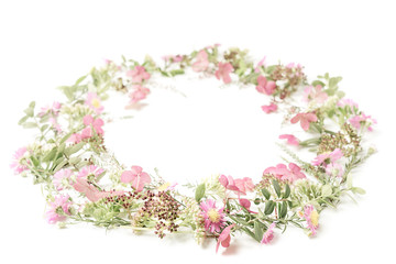 Beautiful and tender wreath frame with pink daisies, heath, branches and leaves on isolated white background. Backdrop for your design. Top view. Copy space.