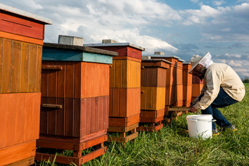 Beekeeper in Protective Workwear Inspecting Beehive Outdoor. Beekeeping and Healthy Bio Food Concept