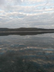 lake close to forest in summer season in sunny day