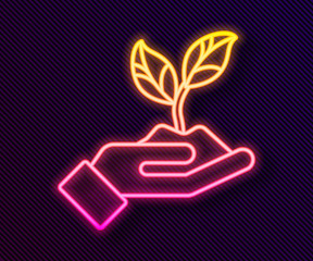 Glowing neon line Plant in hand of environmental protection icon isolated on black background. Seed and seedling. Planting sapling. Vector Illustration