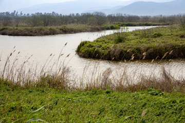 mon aHula - lake and nature reserve for birds