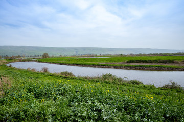 mon aHula - lake and nature reserve for birds